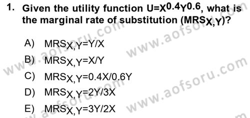Microeconomic Theory Dersi 2024 - 2025 Yılı Yaz Okulu Sınav Soruları 1. Soru