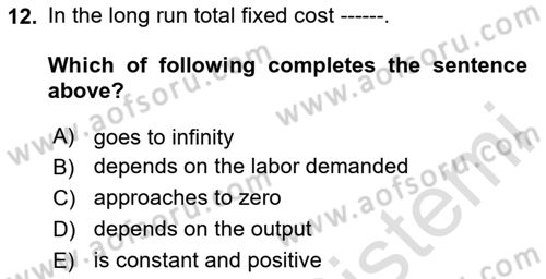 Microeconomic Theory Dersi 2024 - 2025 Yılı Yaz Okulu Sınav Soruları 12. Soru