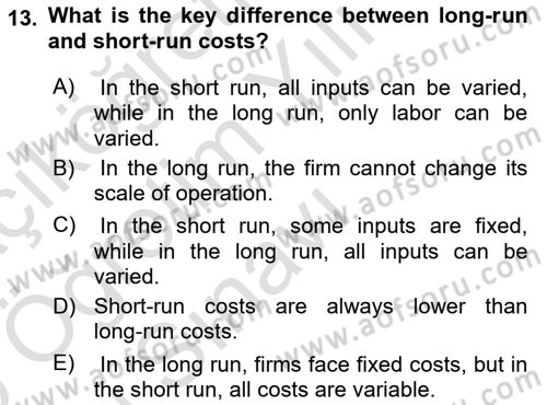 Microeconomic Theory Dersi 2024 - 2025 Yılı Yaz Okulu Sınav Soruları 13. Soru