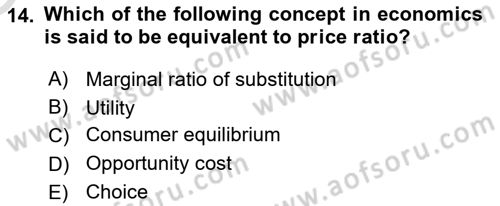 Microeconomic Theory Dersi 2024 - 2025 Yılı Yaz Okulu Sınav Soruları 14. Soru