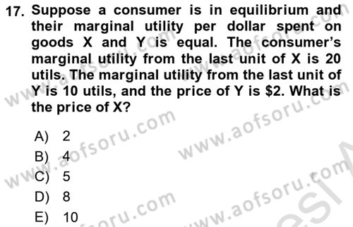 Microeconomic Theory Dersi 2024 - 2025 Yılı Yaz Okulu Sınav Soruları 17. Soru