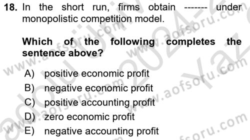 Microeconomic Theory Dersi 2024 - 2025 Yılı Yaz Okulu Sınav Soruları 18. Soru