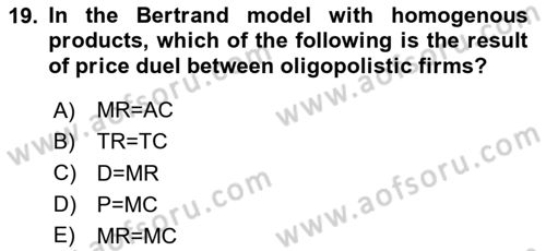 Microeconomic Theory Dersi 2024 - 2025 Yılı Yaz Okulu Sınav Soruları 19. Soru
