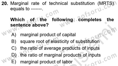 Microeconomic Theory Dersi 2024 - 2025 Yılı Yaz Okulu Sınav Soruları 20. Soru