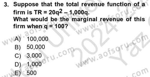 Microeconomic Theory Dersi 2024 - 2025 Yılı Yaz Okulu Sınav Soruları 3. Soru