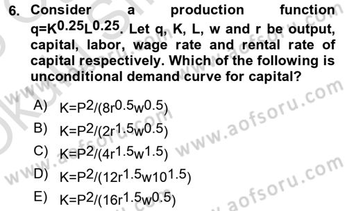 Microeconomic Theory Dersi 2024 - 2025 Yılı Yaz Okulu Sınav Soruları 6. Soru