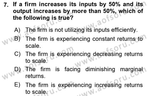 Microeconomic Theory Dersi 2024 - 2025 Yılı Yaz Okulu Sınav Soruları 7. Soru