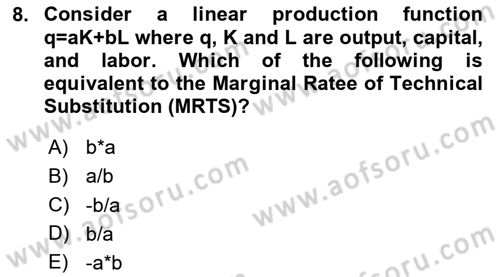 Microeconomic Theory Dersi 2025 - 2026 Yılı (Final) Dönem Sonu Sınav Soruları 8. Soru