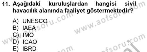 Uluslararası Ekonomik Kuruluşlar Dersi 2012 - 2013 Yılı (Vize) Ara Sınav Soruları 11. Soru