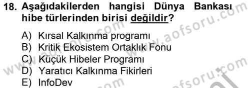Uluslararası Ekonomik Kuruluşlar Dersi 2012 - 2013 Yılı (Vize) Ara Sınav Soruları 18. Soru