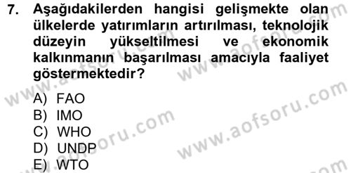 Uluslararası Ekonomik Kuruluşlar Dersi 2012 - 2013 Yılı (Vize) Ara Sınav Soruları 7. Soru