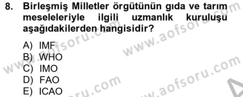 Uluslararası Ekonomik Kuruluşlar Dersi 2012 - 2013 Yılı (Vize) Ara Sınav Soruları 8. Soru
