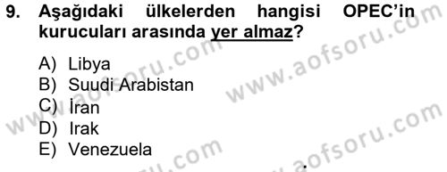 Uluslararası Ekonomik Kuruluşlar Dersi 2012 - 2013 Yılı (Final) Dönem Sonu Sınav Soruları 9. Soru