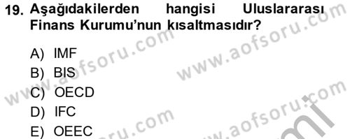 Uluslararası Ekonomik Kuruluşlar Dersi 2013 - 2014 Yılı (Vize) Ara Sınav Soruları 19. Soru