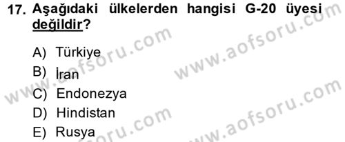 Uluslararası Ekonomik Kuruluşlar Dersi 2014 - 2015 Yılı (Vize) Ara Sınav Soruları 17. Soru