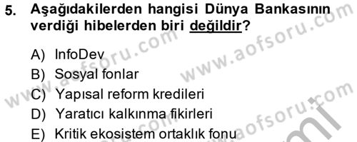 Uluslararası Ekonomik Kuruluşlar Dersi 2014 - 2015 Yılı (Vize) Ara Sınav Soruları 5. Soru