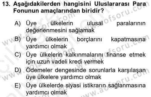 Uluslararası Ekonomik Kuruluşlar Dersi 2015 - 2016 Yılı (Vize) Ara Sınav Soruları 13. Soru