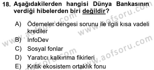 Uluslararası Ekonomik Kuruluşlar Dersi 2015 - 2016 Yılı (Vize) Ara Sınav Soruları 18. Soru