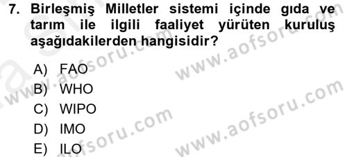 Uluslararası Ekonomik Kuruluşlar Dersi 2015 - 2016 Yılı (Vize) Ara Sınav Soruları 7. Soru