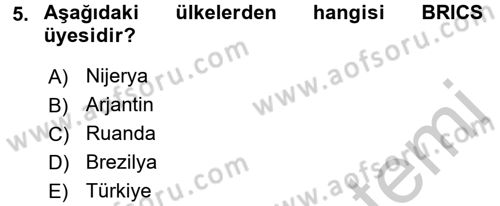 Uluslararası Ekonomik Kuruluşlar Dersi 2016 - 2017 Yılı (Vize) Ara Sınav Soruları 5. Soru