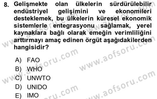 Uluslararası Ekonomik Kuruluşlar Dersi 2016 - 2017 Yılı (Vize) Ara Sınav Soruları 8. Soru