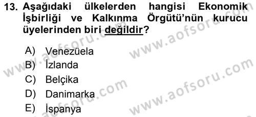 Uluslararası Ekonomik Kuruluşlar Dersi 2016 - 2017 Yılı (Final) Dönem Sonu Sınav Soruları 13. Soru