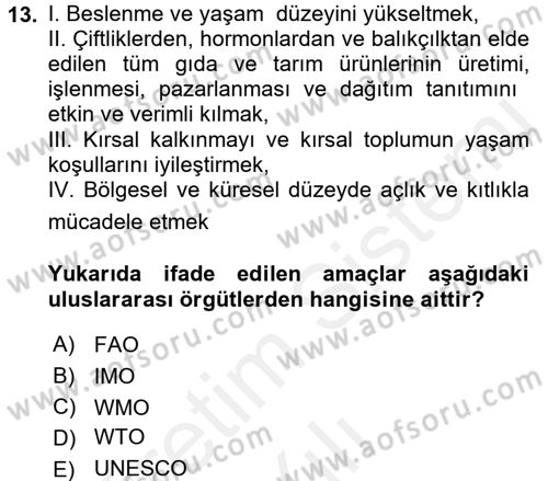 Uluslararası Ekonomik Kuruluşlar Dersi 2017 - 2018 Yılı (Vize) Ara Sınav Soruları 13. Soru