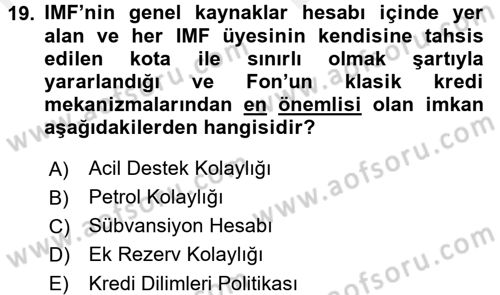 Uluslararası Ekonomik Kuruluşlar Dersi 2017 - 2018 Yılı (Vize) Ara Sınav Soruları 19. Soru