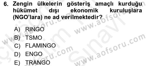 Uluslararası Ekonomik Kuruluşlar Dersi 2017 - 2018 Yılı (Vize) Ara Sınav Soruları 6. Soru