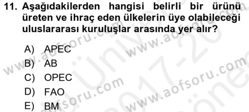 Uluslararası Ekonomik Kuruluşlar Dersi 2017 - 2018 Yılı (Final) Dönem Sonu Sınav Soruları 11. Soru