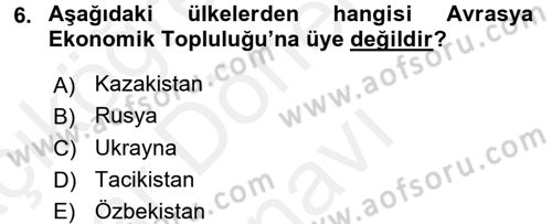 Uluslararası Ekonomik Kuruluşlar Dersi 2017 - 2018 Yılı (Final) Dönem Sonu Sınav Soruları 6. Soru