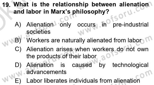 History Of Economic Thought Dersi 2024 - 2025 Yılı Yaz Okulu Sınav Soruları 19. Soru