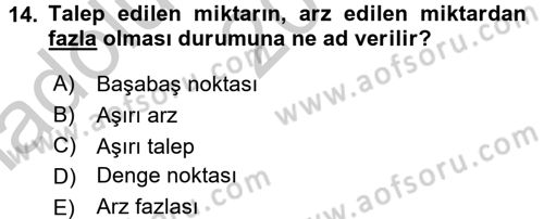 Turizm Ekonomisi Dersi 2016 - 2017 Yılı (Vize) Ara Sınavı 14. Soru