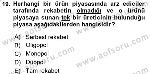Turizm Ekonomisi Dersi Ara Sınavı Deneme Sınav Soruları 19. Soru
