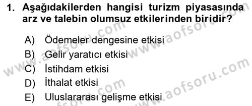 Turizm Ekonomisi Dersi 2020 - 2021 Yılı Yaz Okulu Sınav Soruları 1. Soru