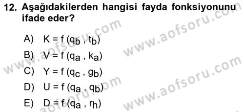 Turizm Ekonomisi Dersi Ara Sınavı Deneme Sınav Soruları 12. Soru