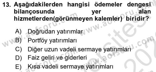 Turizm Ekonomisi Dersi 2021 - 2022 Yılı (Vize) Ara Sınav Soruları 13. Soru