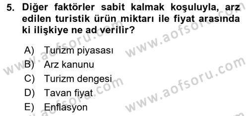 Turizm Ekonomisi Dersi Ara Sınavı Deneme Sınav Soruları 5. Soru