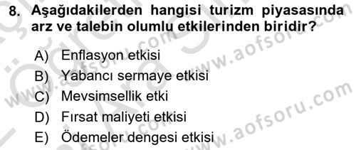 Turizm Ekonomisi Dersi Ara Sınavı Deneme Sınav Soruları 8. Soru