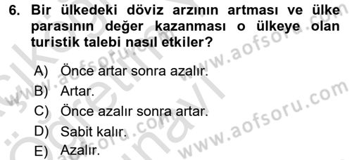 Turizm Ekonomisi Dersi 2021 - 2022 Yılı Yaz Okulu Sınav Soruları 6. Soru
