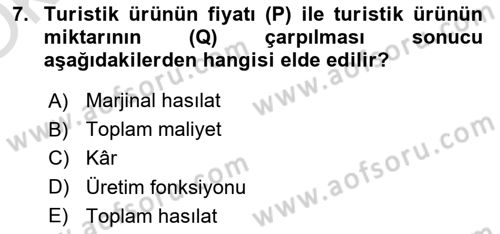 Turizm Ekonomisi Dersi 2021 - 2022 Yılı Yaz Okulu Sınav Soruları 7. Soru