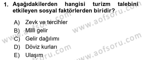 Turizm Ekonomisi Dersi 2022 - 2023 Yılı (Vize) Ara Sınav Soruları 1. Soru