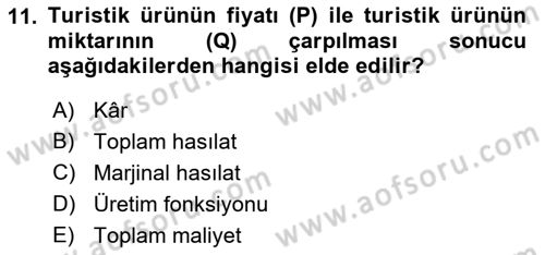Turizm Ekonomisi Dersi Ara Sınavı Deneme Sınav Soruları 11. Soru