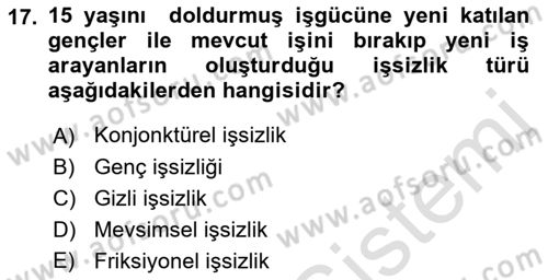 Turizm Ekonomisi Dersi Ara Sınavı Deneme Sınav Soruları 17. Soru