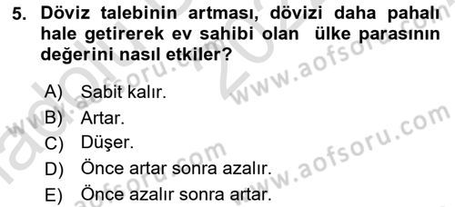 Turizm Ekonomisi Dersi Ara Sınavı Deneme Sınav Soruları 5. Soru