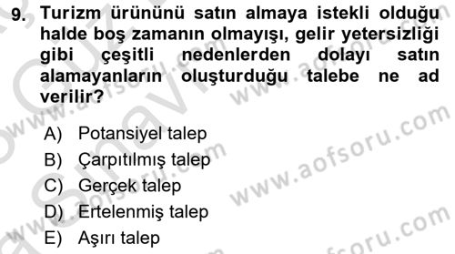 Turizm Ekonomisi Dersi Ara Sınavı Deneme Sınav Soruları 9. Soru