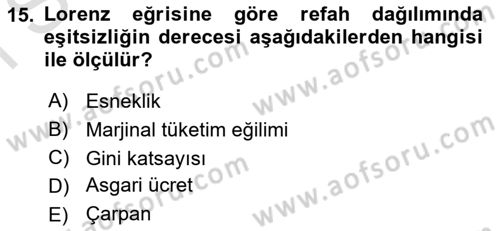 Turizm Ekonomisi Dersi 2022 - 2023 Yılı (Final) Dönem Sonu Sınav Soruları 15. Soru