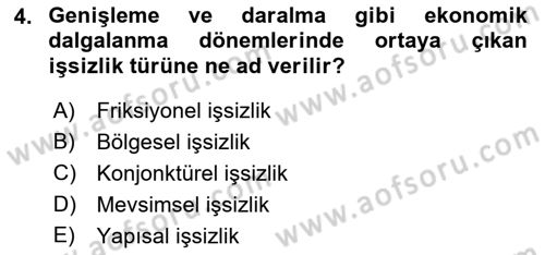 Turizm Ekonomisi Dersi 2022 - 2023 Yılı (Final) Dönem Sonu Sınav Soruları 4. Soru