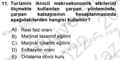 Turizm Ekonomisi Dersi 2022 - 2023 Yılı Yaz Okulu Sınav Soruları 11. Soru