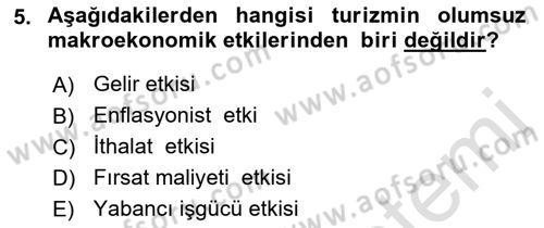 Turizm Ekonomisi Dersi 2022 - 2023 Yılı Yaz Okulu Sınav Soruları 5. Soru